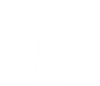 Icon WorkFlow-Tes fly (Custom)